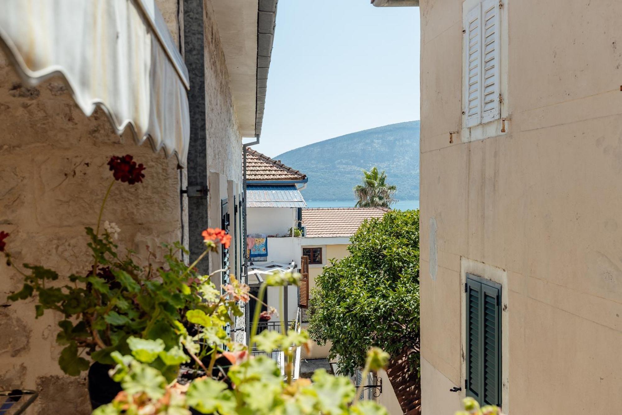 Guesthouse Villa Stari Grad ヘルツェグ・ノヴィ エクステリア 写真